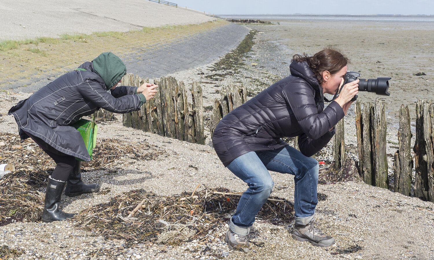 Visnetten op het Wad