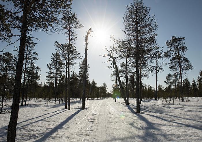 Lapland weg van de bewoonde wereld in Zweden